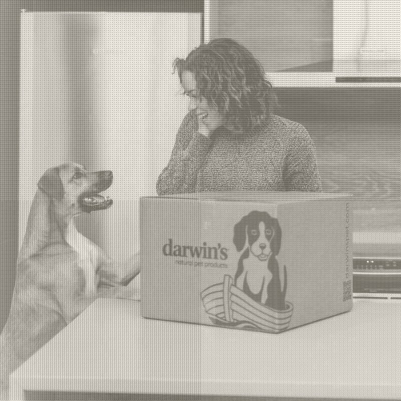DOJ Sues Darwin's Pet Food Over a Decade of Ignored Contamination Warnings