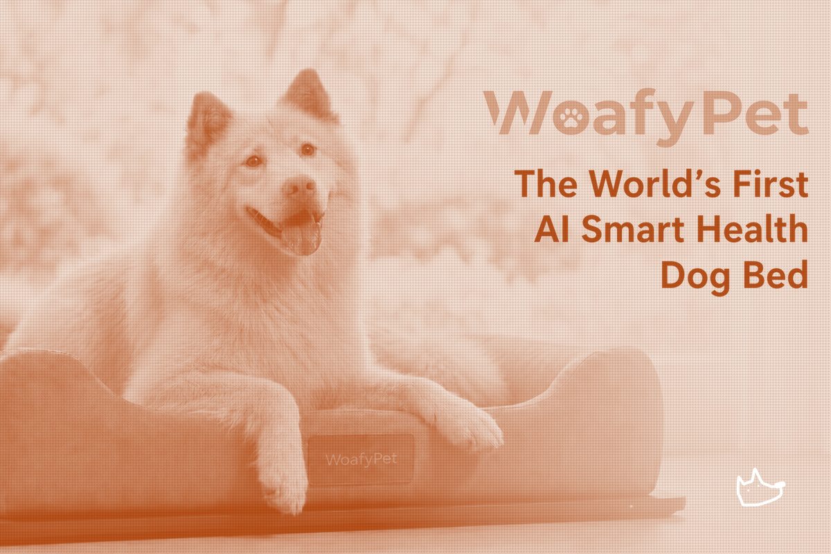 A Smart Bed Takes On the Pet-Wearable Crowd, No Collar Required