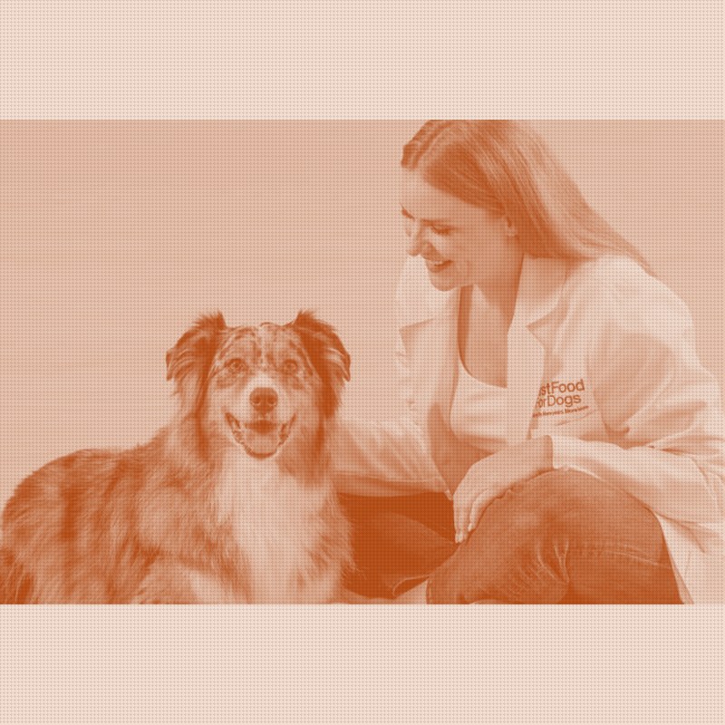 JustFoodForDogs Doubles Down on the Vet Counter as Fresh Food Goes Mass