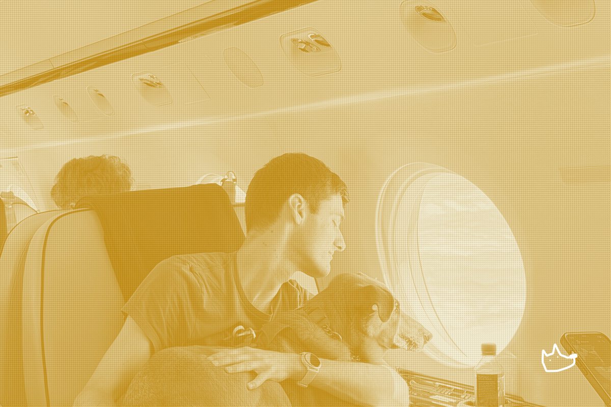 Vicuna Air extends pet travel beyond the flight with a ground network