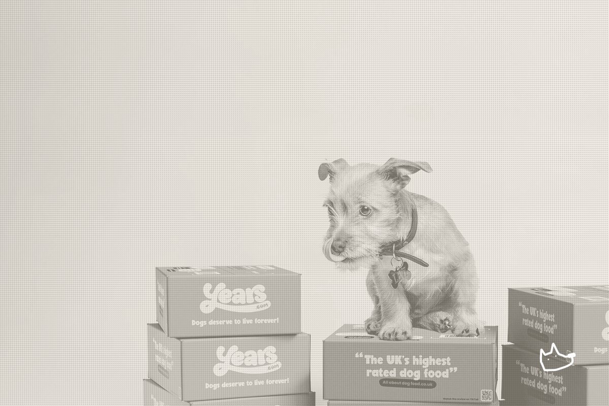 Years Recalls Nearly All Its Fresh Meals After 192 Dog Eye Injury Reports