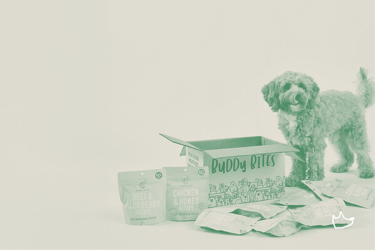 Buddy Bites Raises $4.2M as Asia's Subscription Pet Bet Heats Up