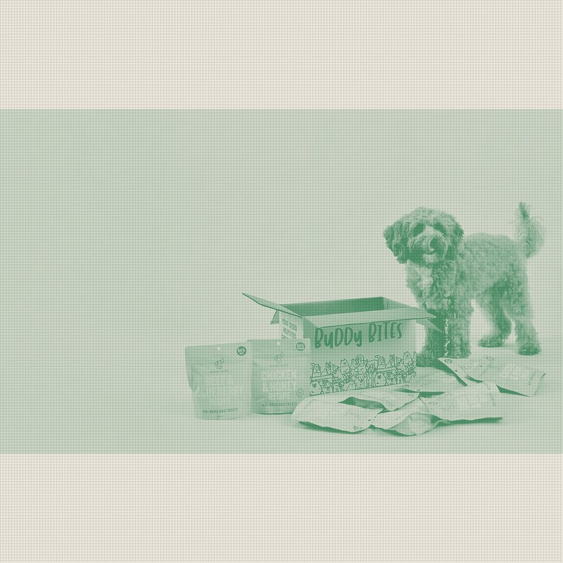Buddy Bites Raises $4.2M as Asia's Subscription Pet Bet Heats Up