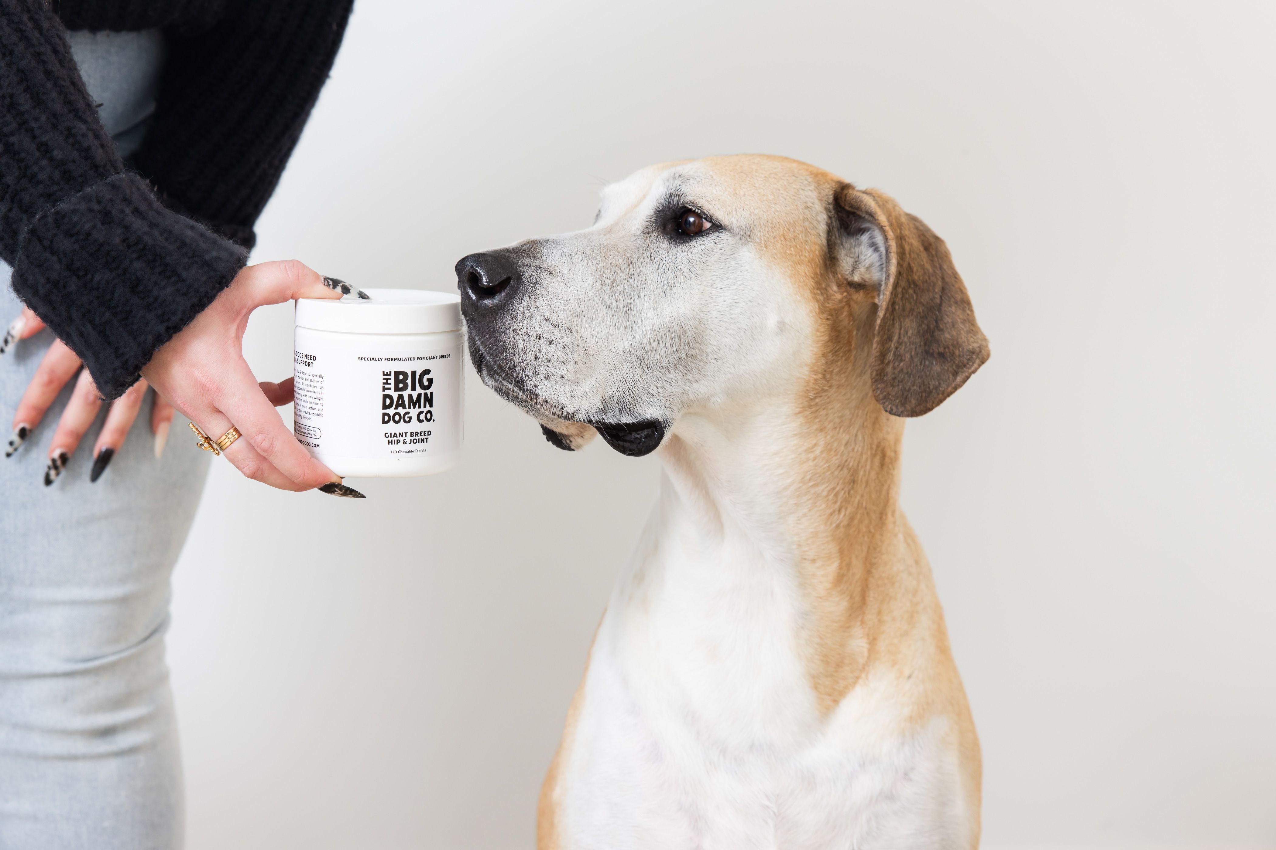 Big Damn Dog Co. Giant Breed Hip & Joint Chewable Tablets