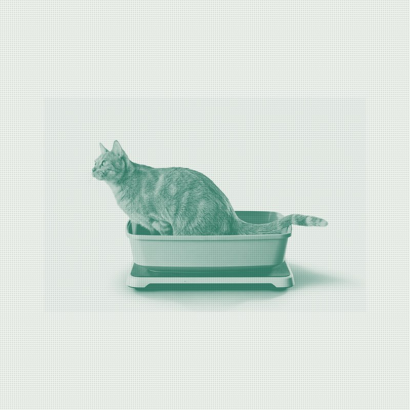Purina and Ohio State's Litter Box Study Validates a Health-Monitoring Category