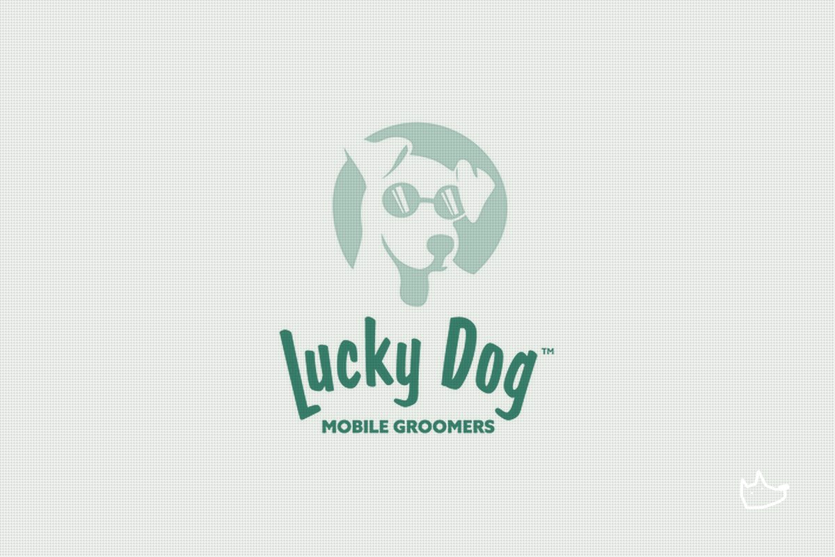 Lucky Dog Mobile Groomers' Data Reveals the Real Cost of a Groom