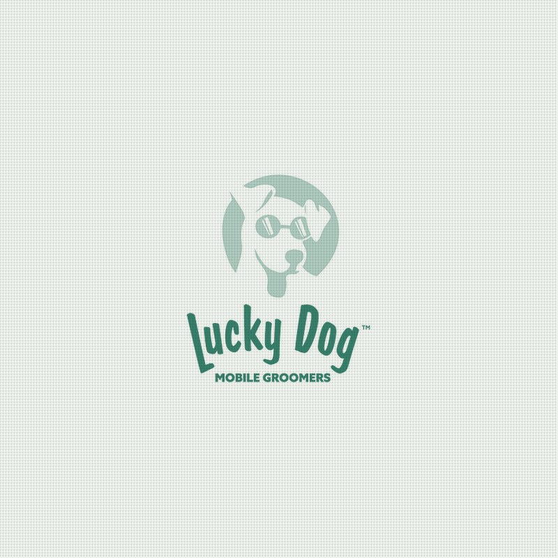 Lucky Dog Mobile Groomers' Data Reveals the Real Cost of a Groom