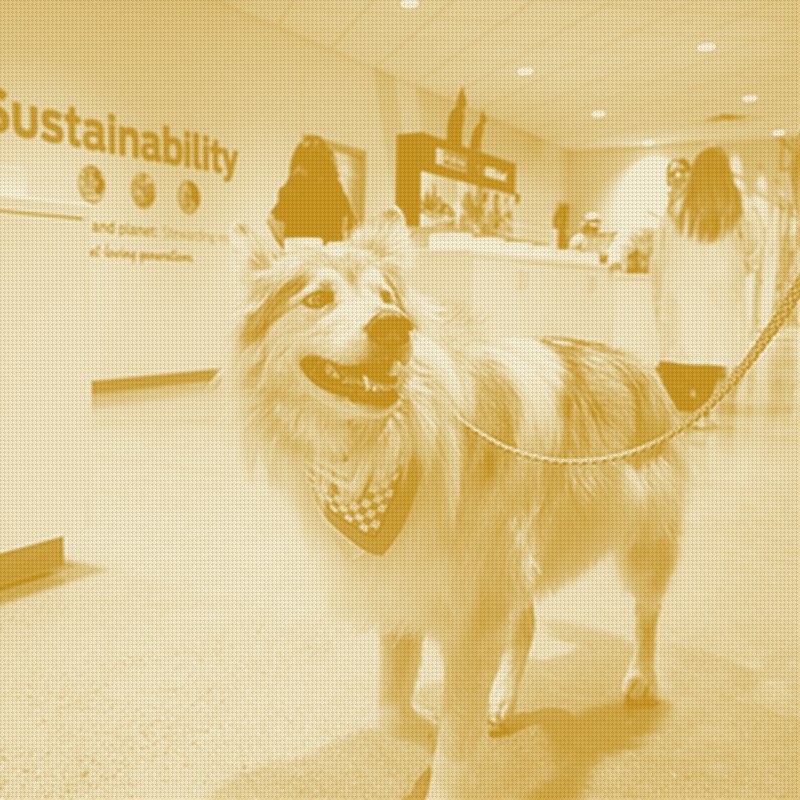 Purina Opens $550 Million Ohio Factory, Its Biggest US Bet in 50 Years