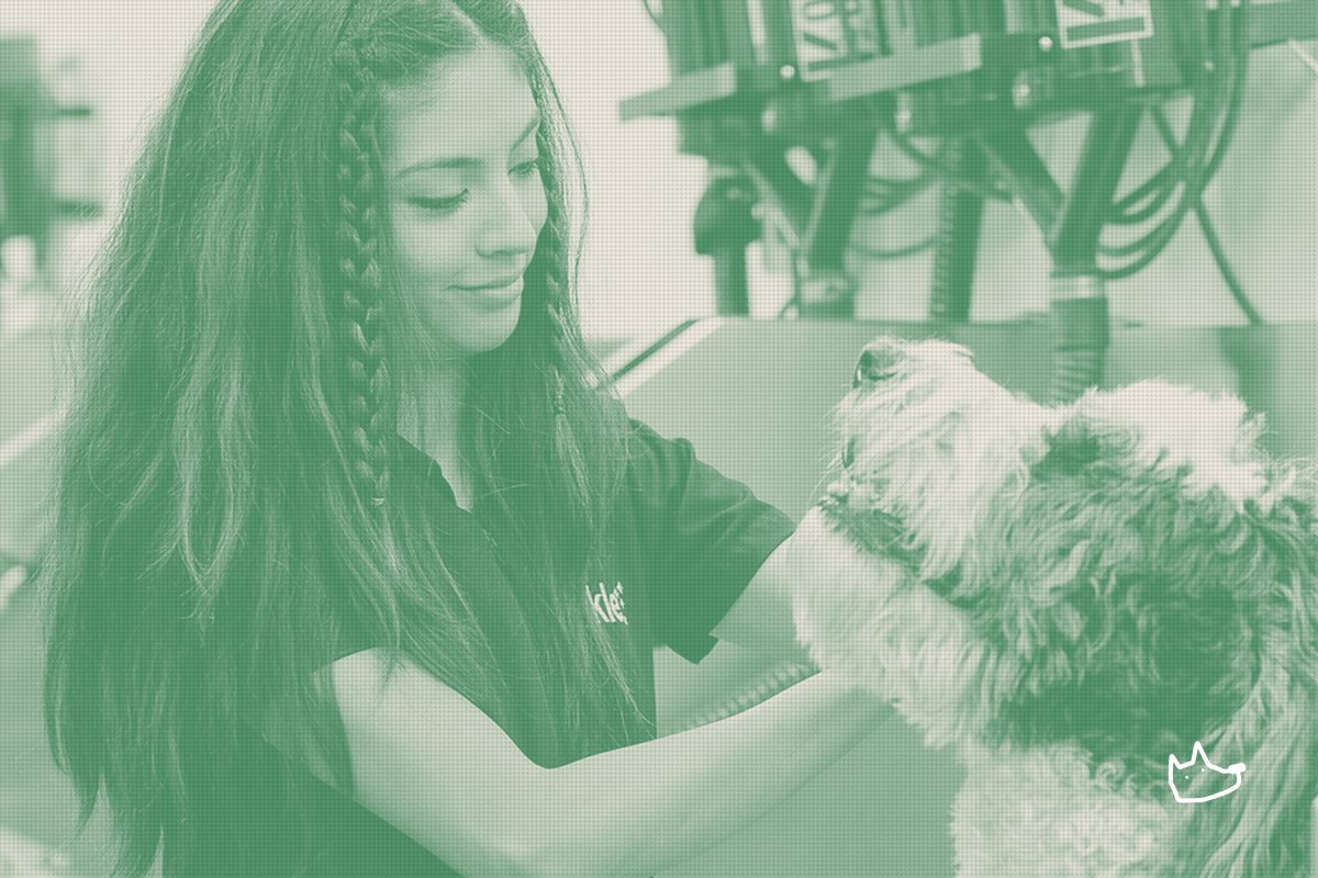 Mars' Venture Fund Bets $6M on Sparkle's Grooming Roll-Up