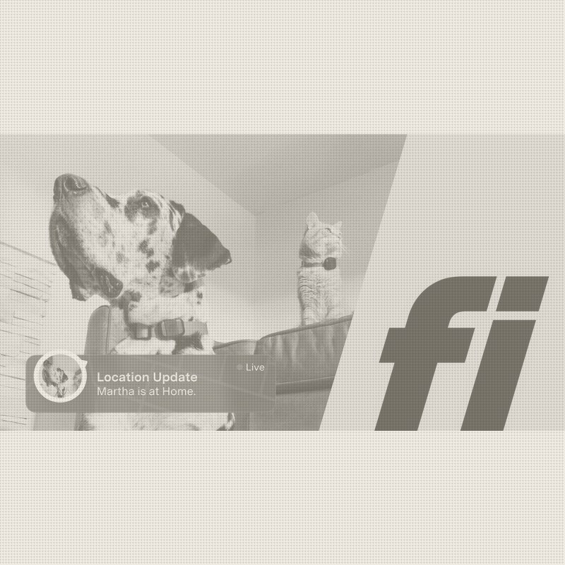 Fi's Supplement Push Hits Its First Recall