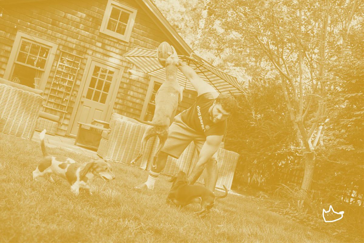 The Farmer's Dog Follows Its Oprah Deal With an NFL Partnership