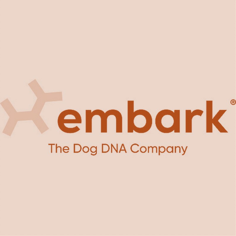 Can Your Dog's DNA Really Explain Its Behavior? Embark Bets $39 On It