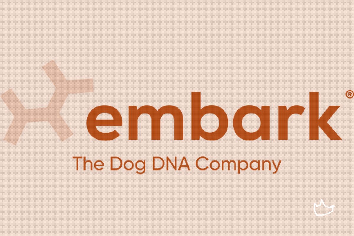 Can Your Dog's DNA Really Explain Its Behavior? Embark Bets $39 On It