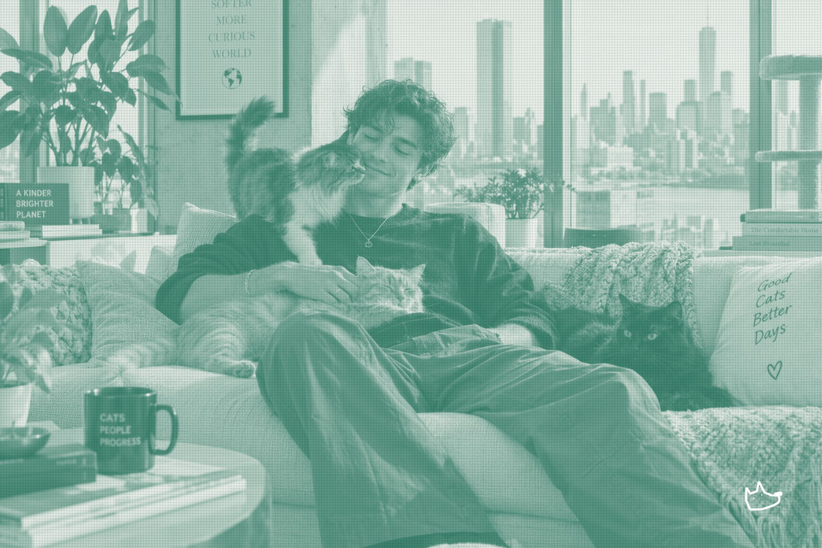 Gen Z and Cat Dads Are Reshaping the Market—New APPA Data Shows Where Cat Spending Is Accelerating