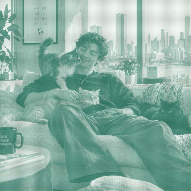 Gen Z and Cat Dads Are Reshaping the Market—New APPA Data Shows Where Cat Spending Is Accelerating