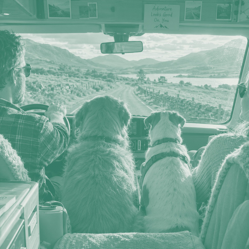 Pet Owners Now Weigh Retirement Against Vet Bills, Survey Finds