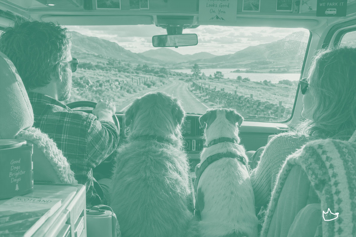 Pet Owners Now Weigh Retirement Against Vet Bills, Survey Finds