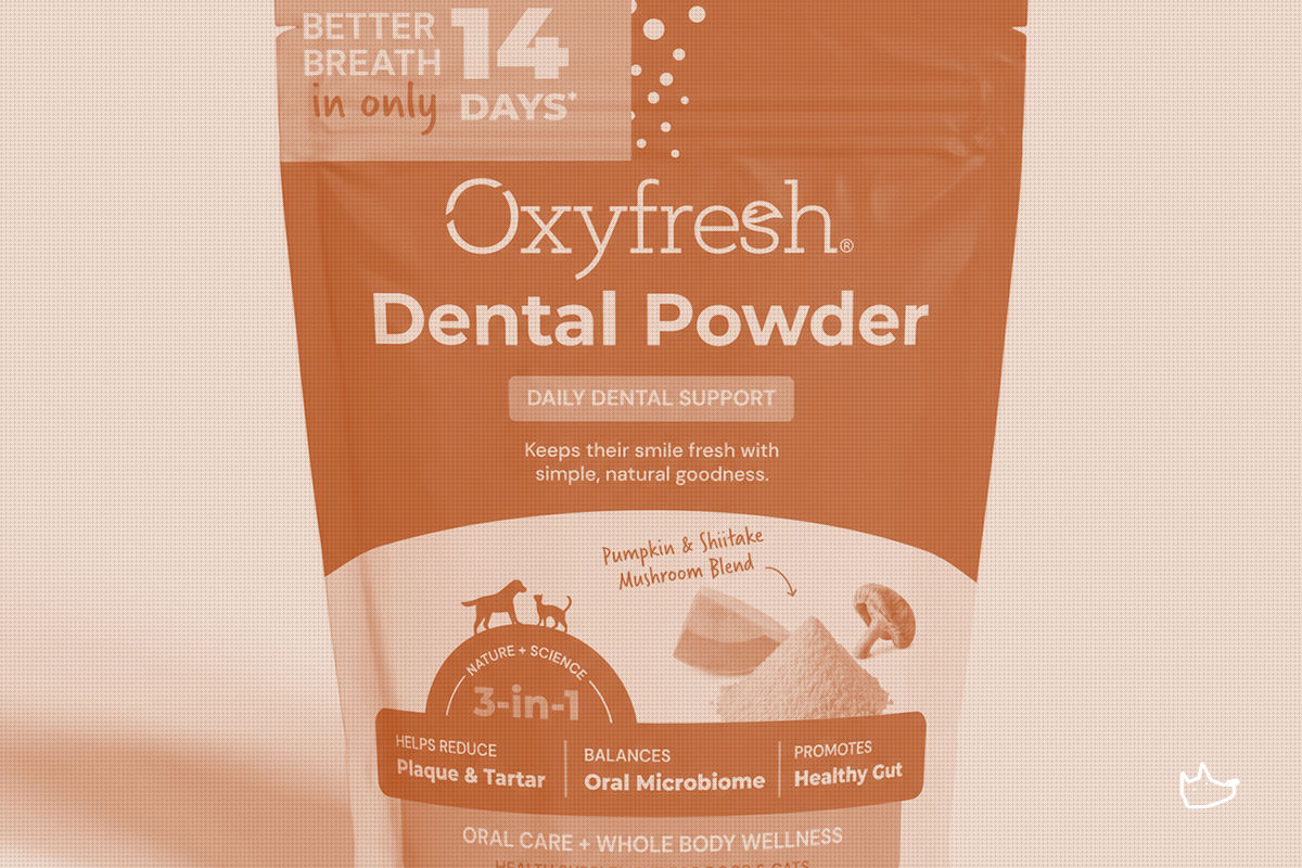 Oxyfresh's New Dental Powder Enters a Category Everyone's Suddenly Chasing