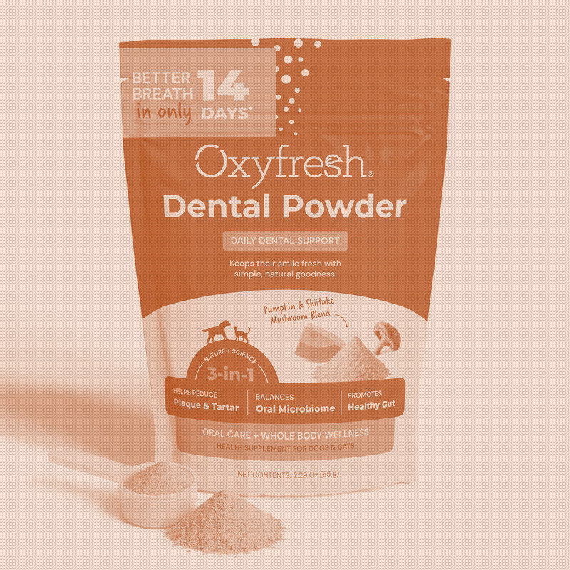 Oxyfresh's New Dental Powder Enters a Category Everyone's Suddenly Chasing