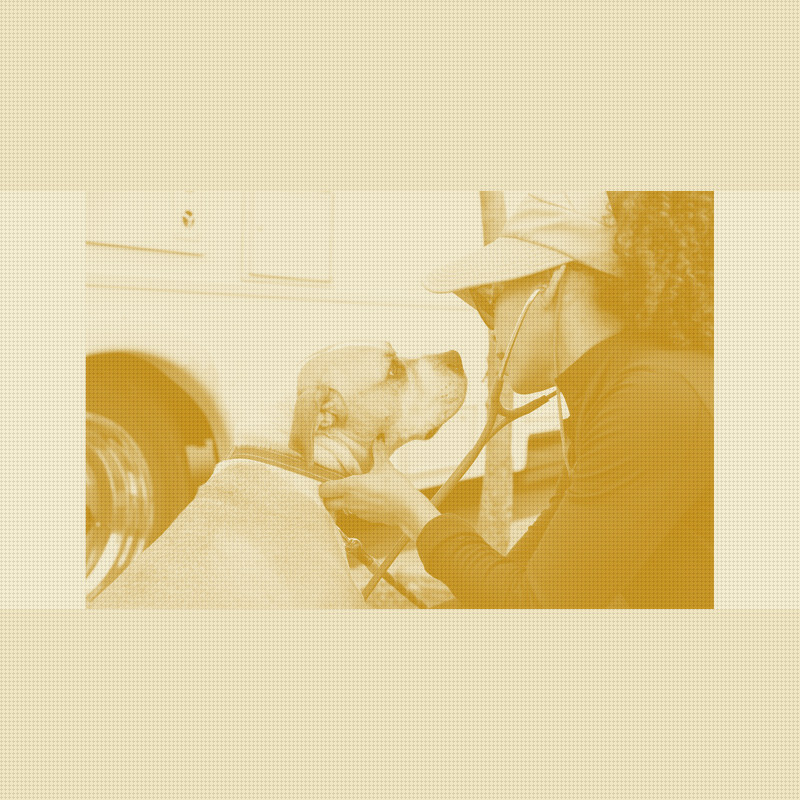 $250M Duffield Pledge Raises the Stakes on Vet Care Access