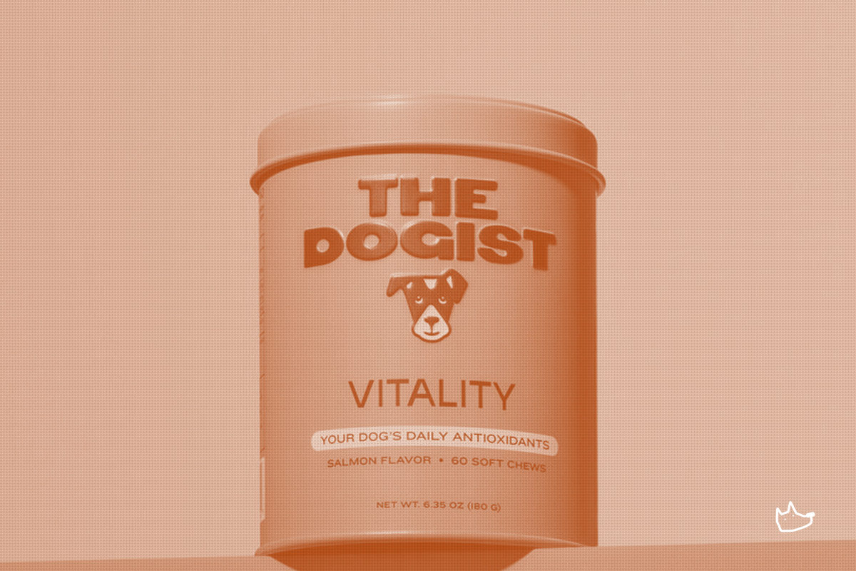 After 13 Years Photographing Dogs, The Dogist Launches Its First Product