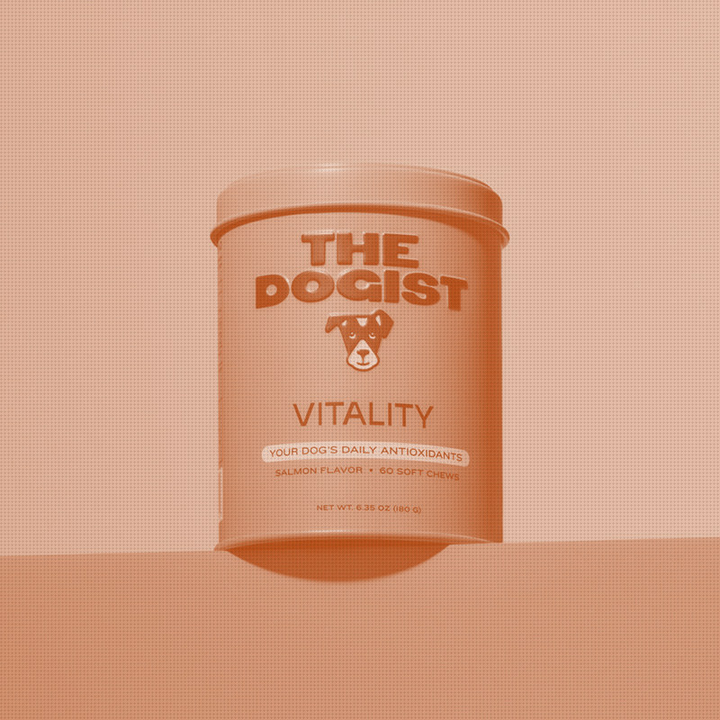 After 13 Years Photographing Dogs, The Dogist Launches Its First Product