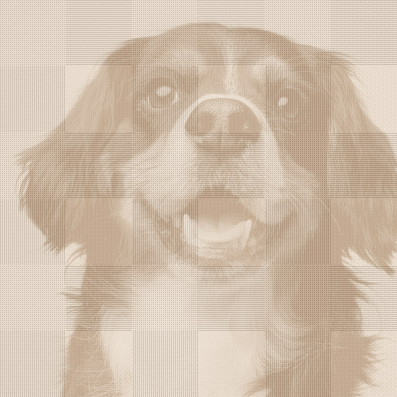 PetMeds Names New CEO, Rebuilds Board Amid Takeover Fight