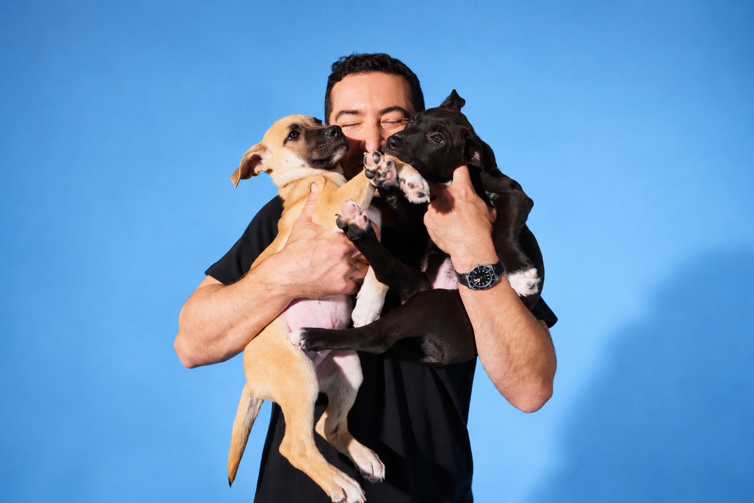 A dog helped through The Dogist Fund