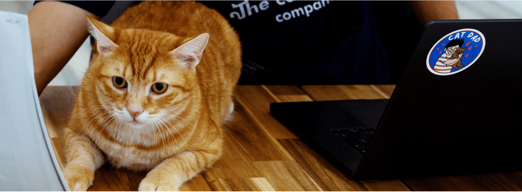 The Cat Health Company clinical pipeline