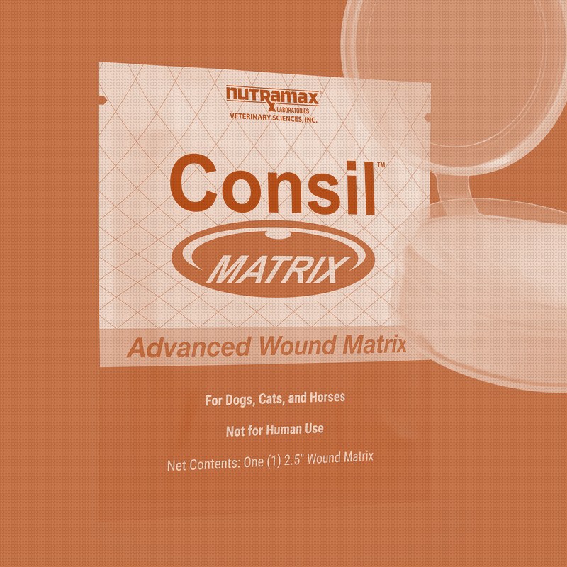 Nutramax takes its Consil brand from bone grafts to wound dressings