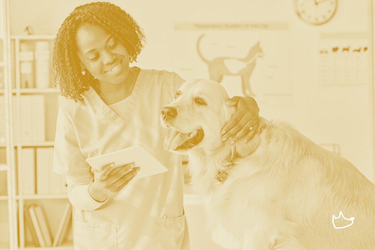 CareCredit moves vet financing off the terminal and into Vetspire