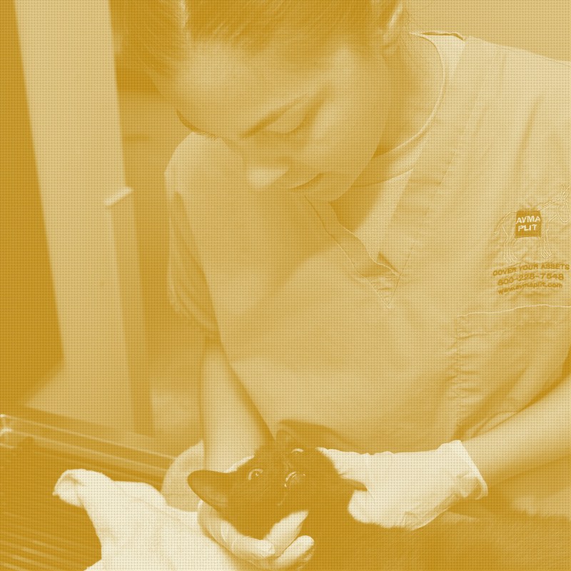 Veterinary Practice Partners calls its 200-hospital co-ownership network a partnership community