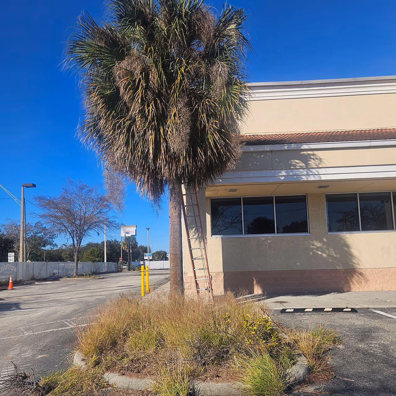 Residential landscaping and mulch installation in West Tampa