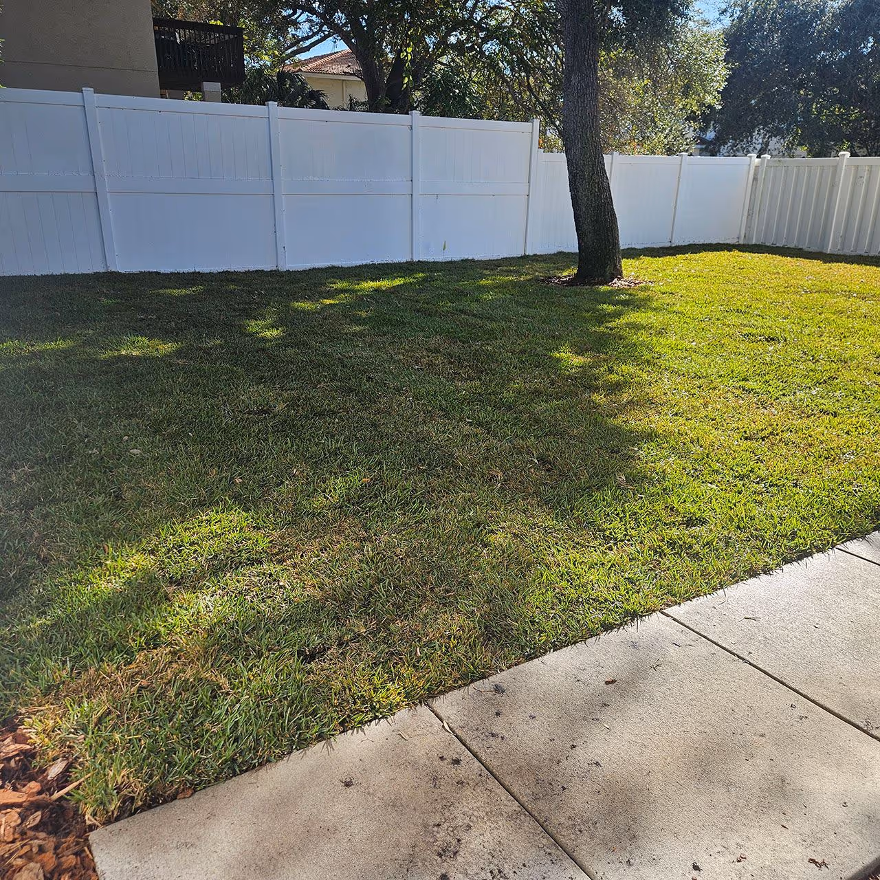 Lawn maintenance service by LCL Lawn Care Services in South Tampa