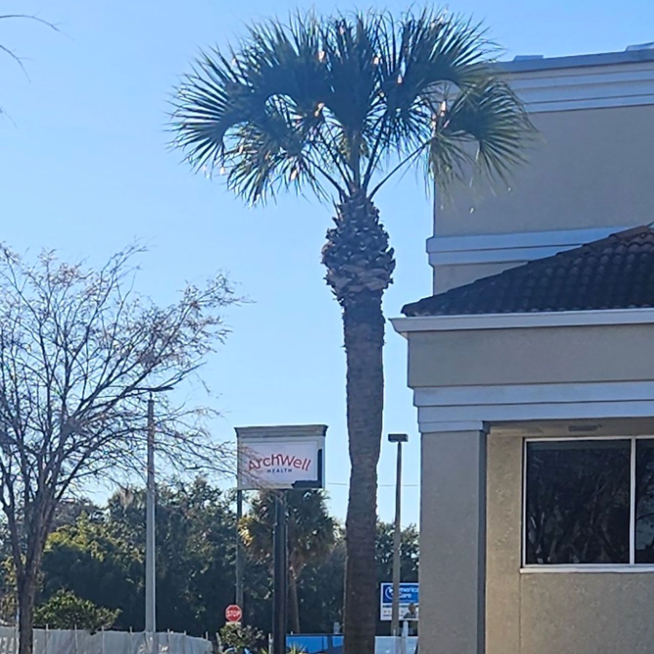 Professional landscaping by LCL Lawn Care Services in South Tampa