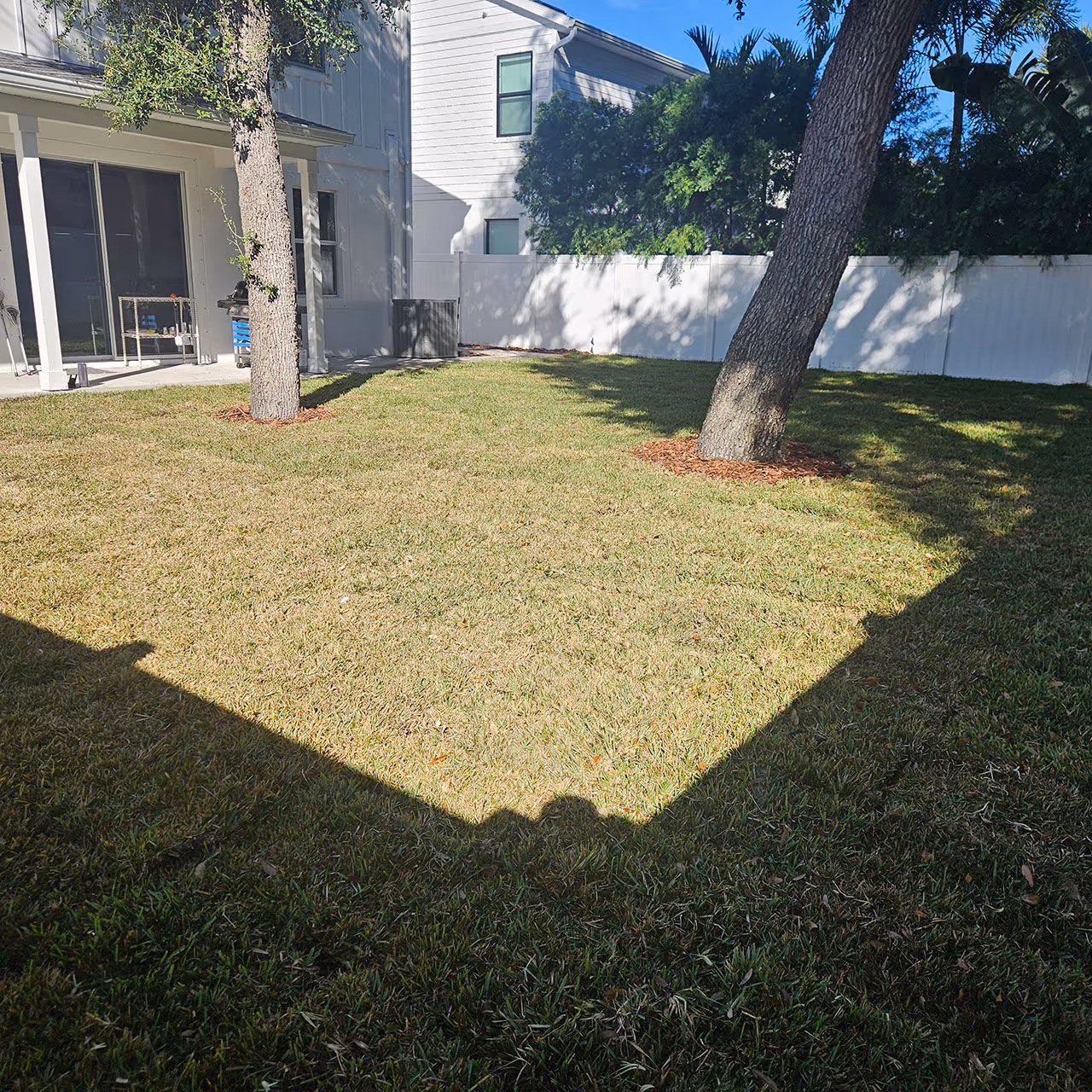 New sod being laid for a residential lawn renovation