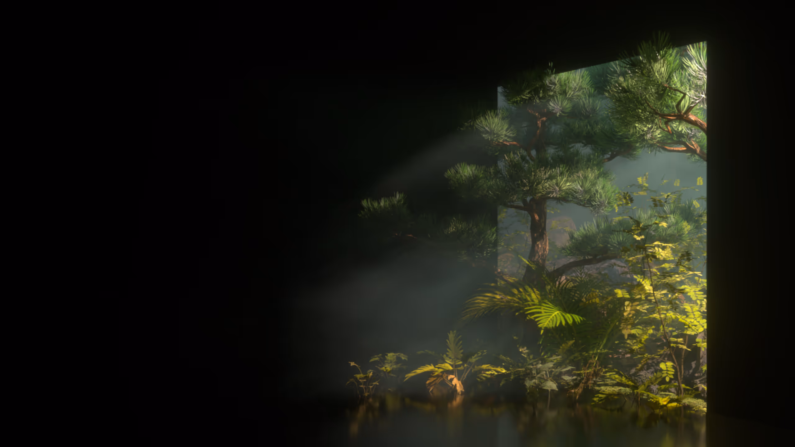 Sunlight streaming through an opening onto green plants and a tree in a dark space.