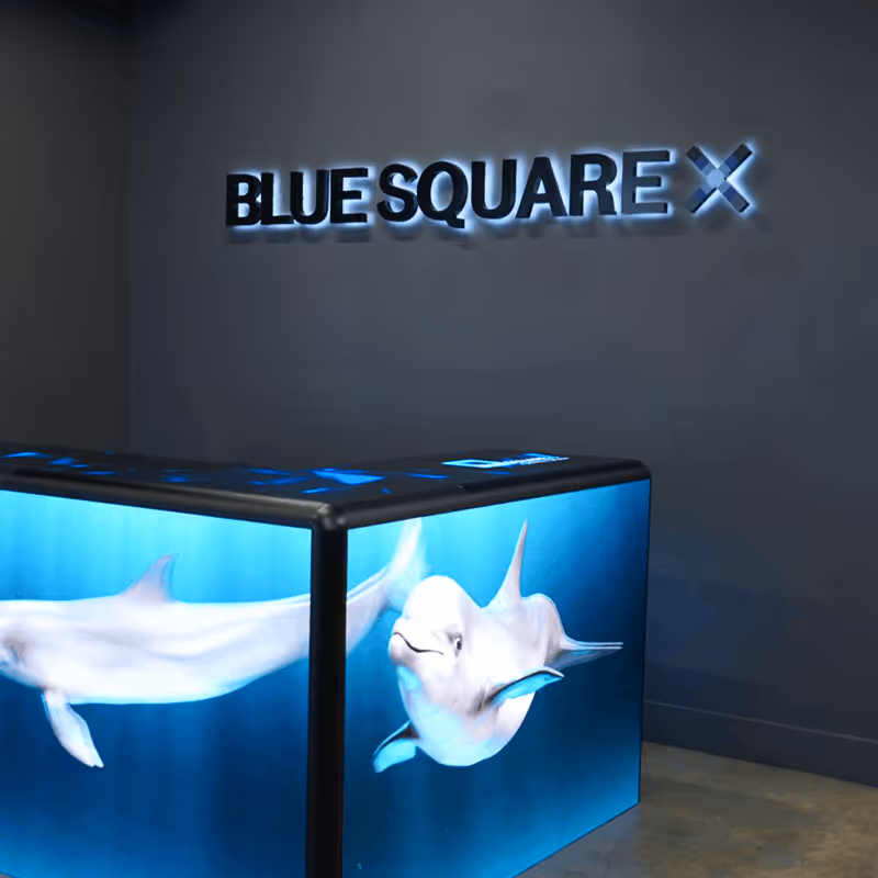 Illuminated Blue Square X sign on a gray wall above a rectangular display featuring images of two dolphins swimming underwater.