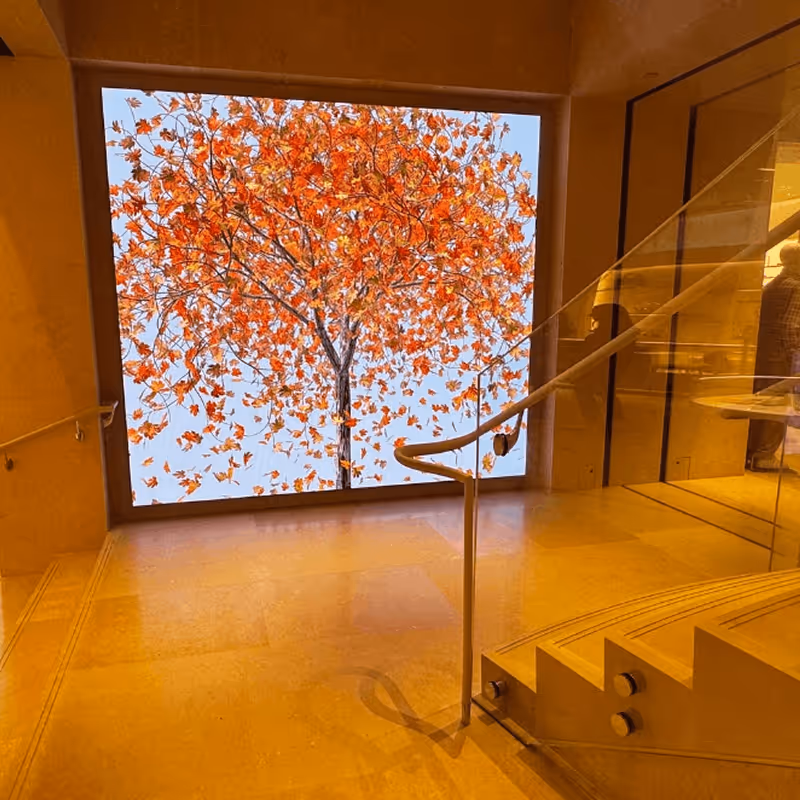 Modern indoor stairway with glass railing descending to a landing featuring a large illuminated wall display of an autumn tree with orange leaves.