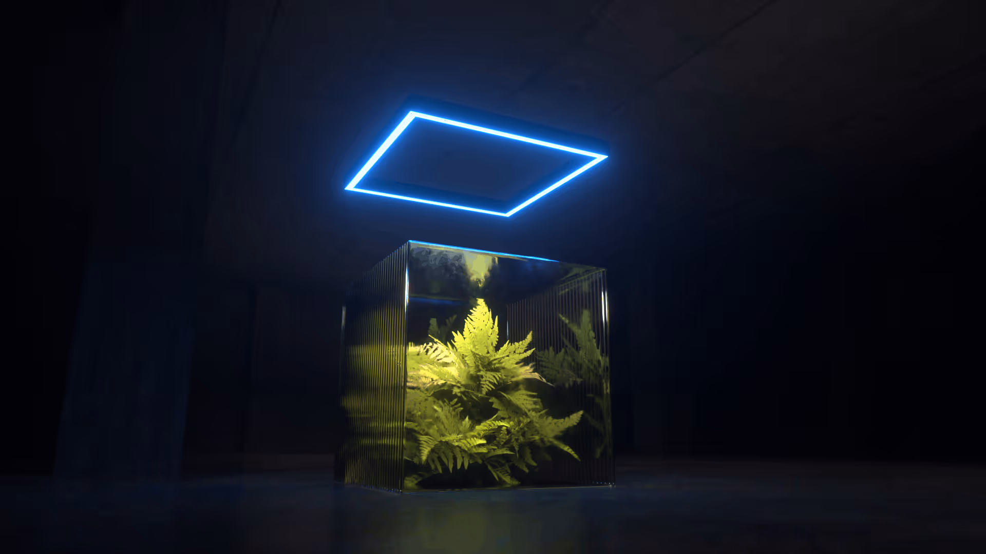 Yellowish green fern plants inside a transparent glass cube under a glowing blue neon square light in a dark room.