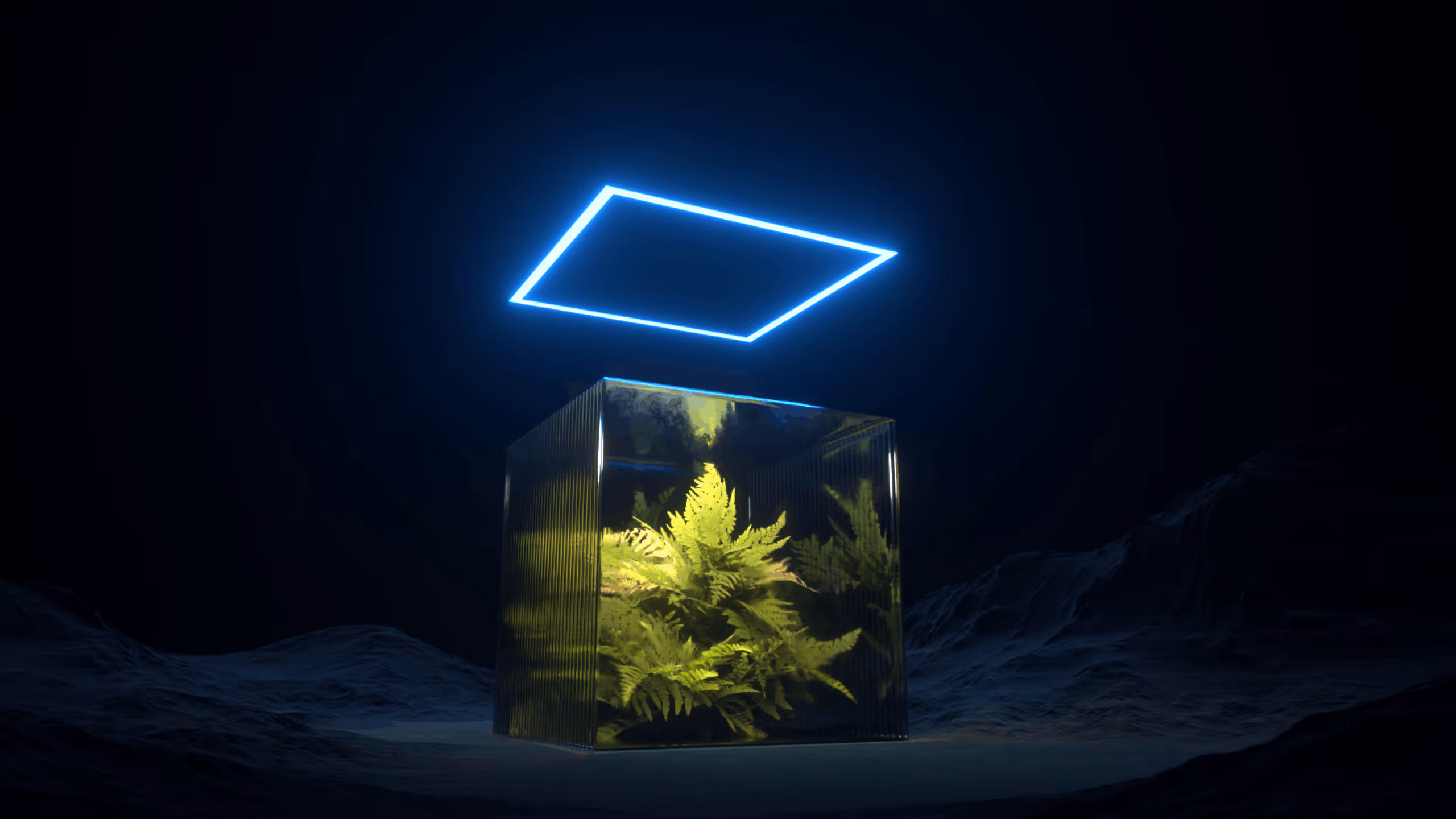 Yellowish green fern plants inside a transparent glass cube under a glowing blue neon square light in a dark room.