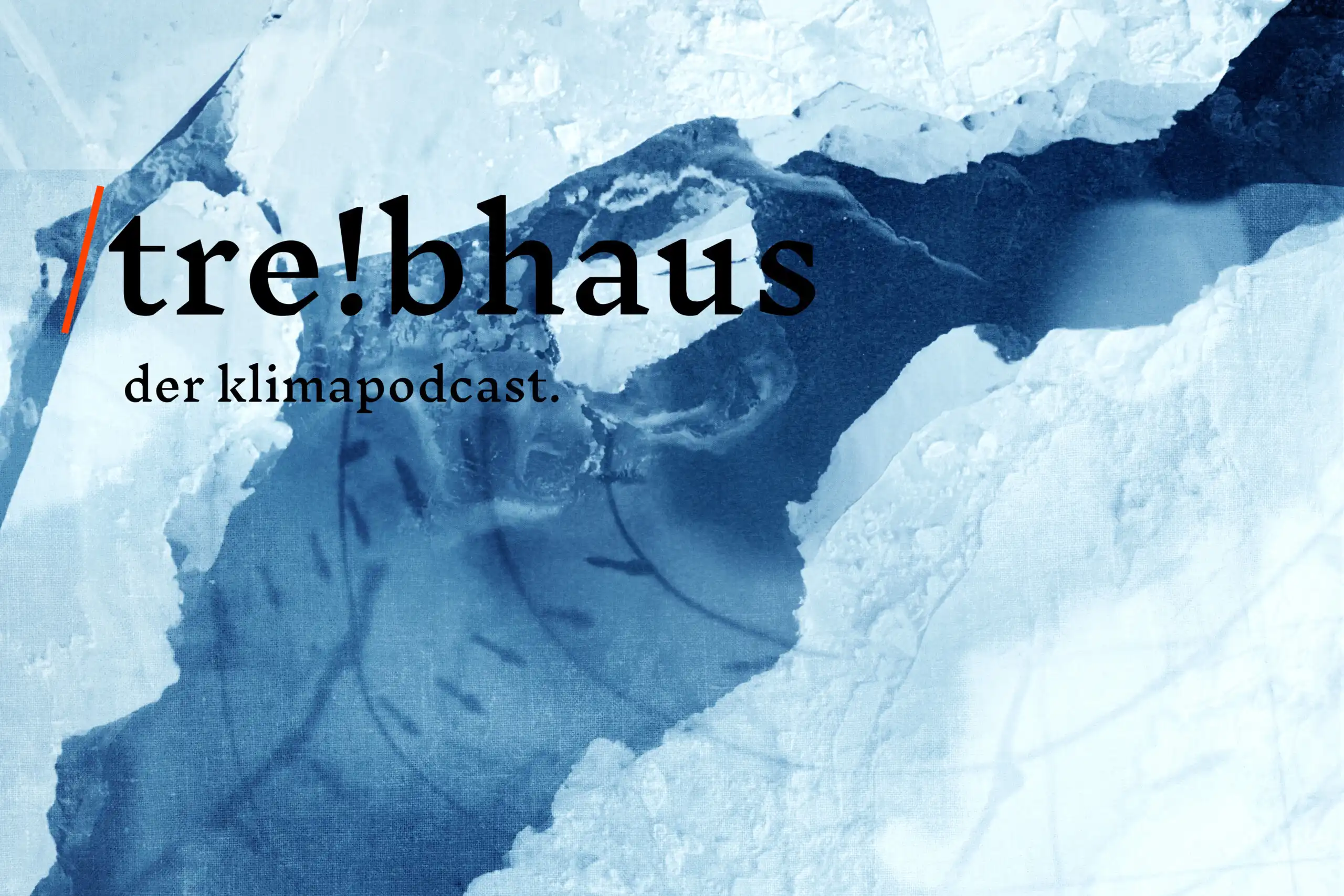 treibhaus-2212