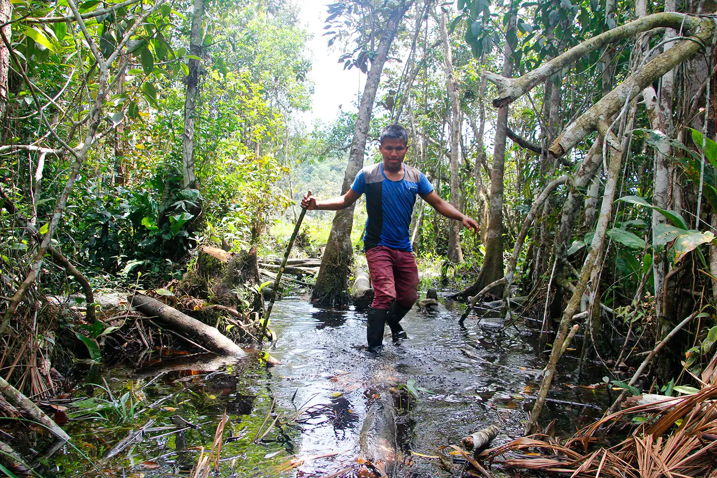 3-part podcast series on indigenous knowledge for alternative futures