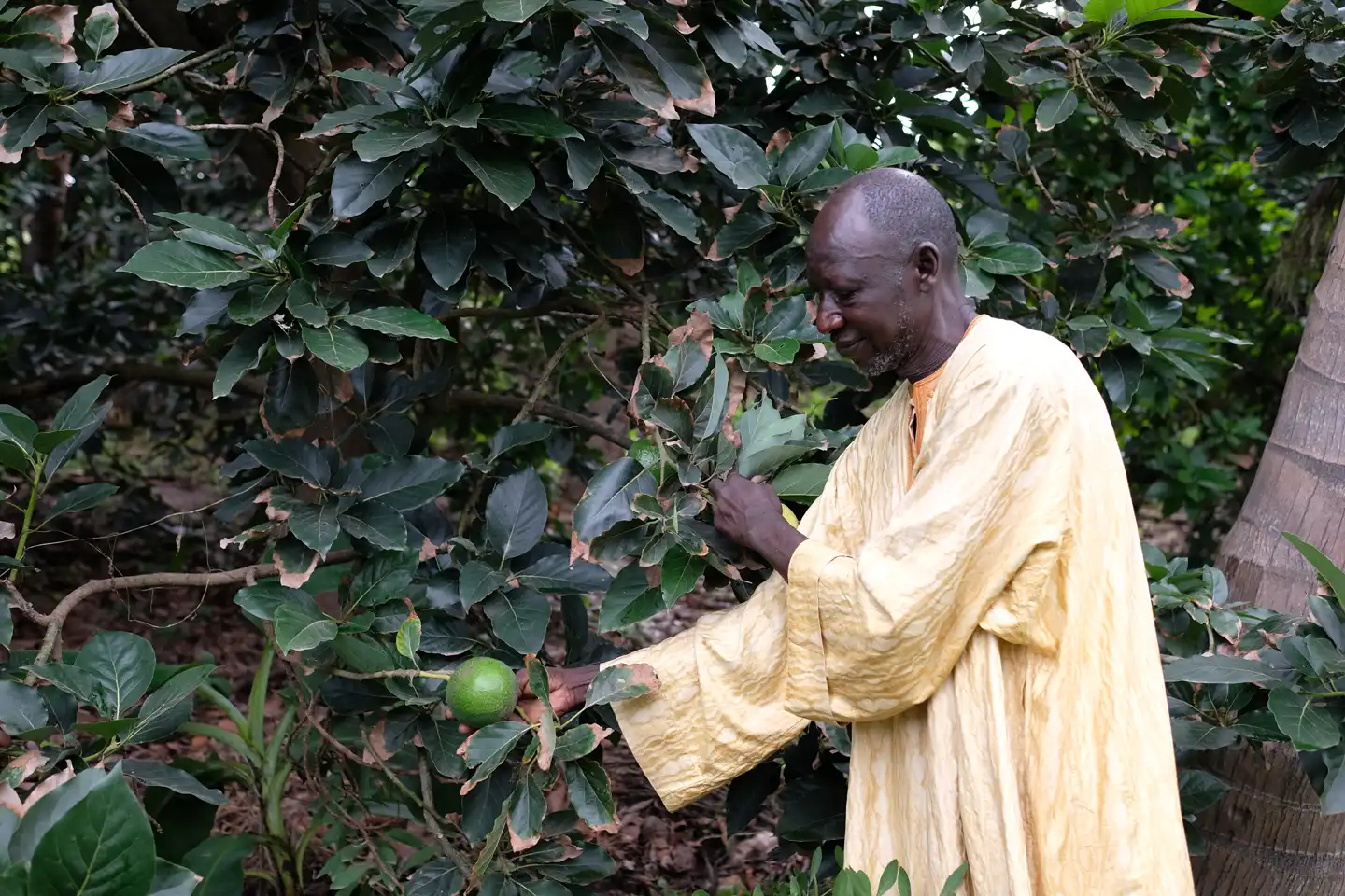 A "pluriversity" for the knowledge of our future