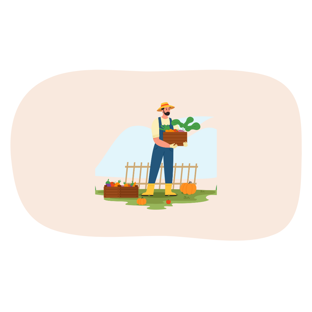 Un agriculteur tient une cagette de courges Quasimodo