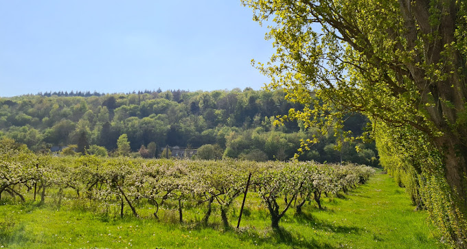 Les Vergers de Beaulieu