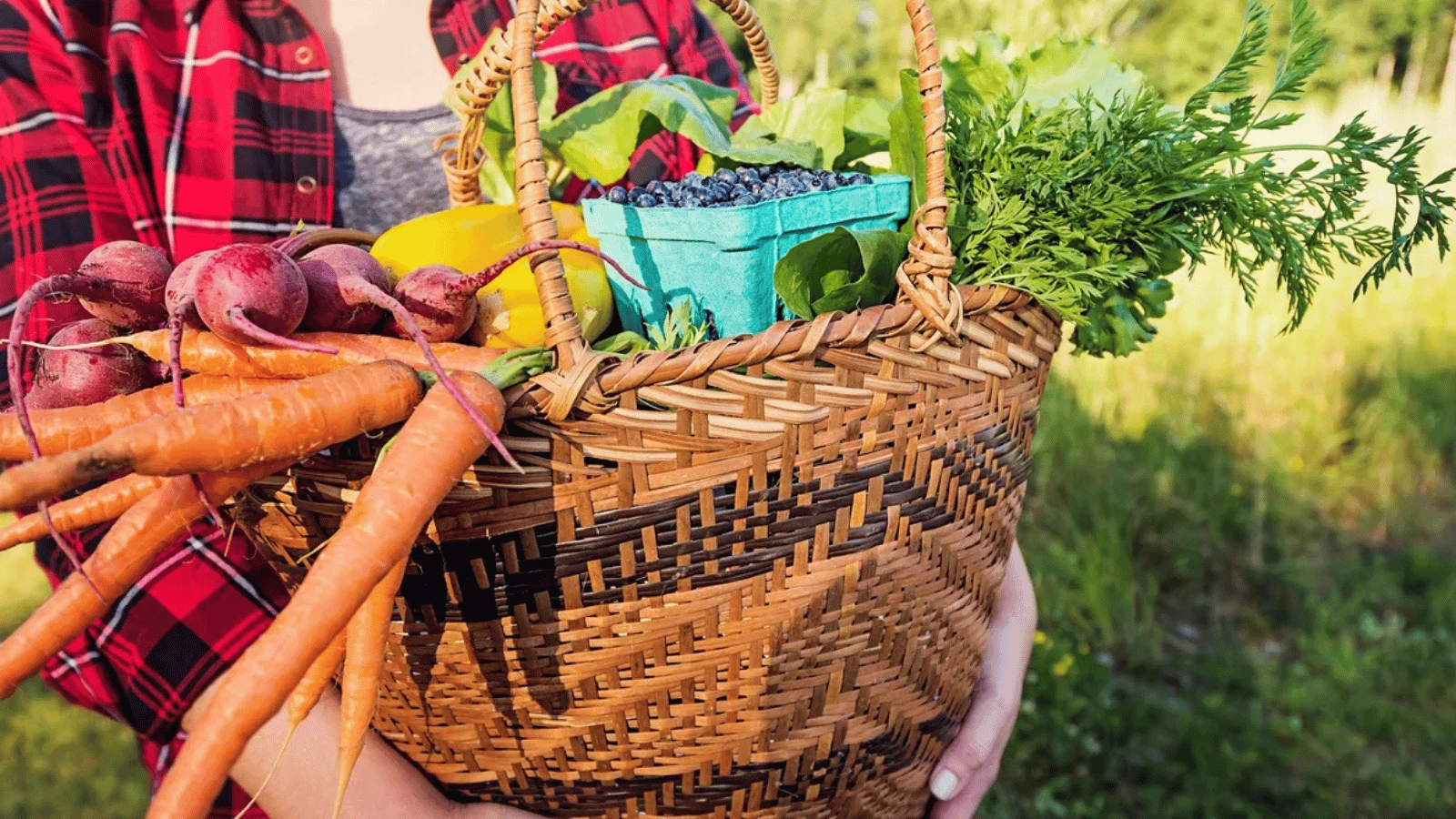 AMAP ou panier livré : lequel vous correspond vraiment ?