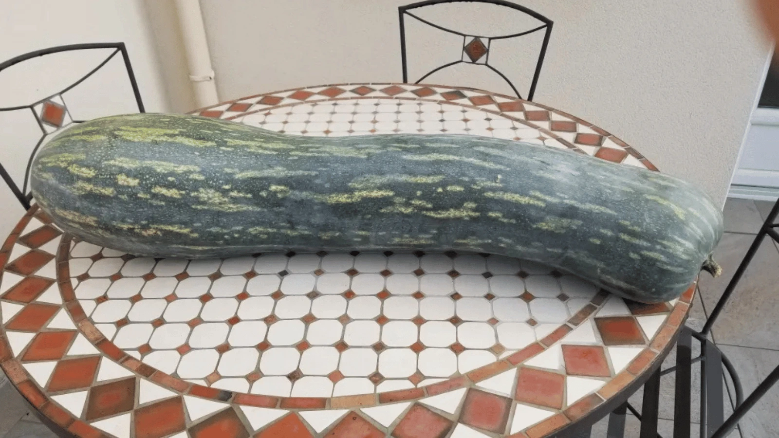 Que faire avec des courgettes en trop ?