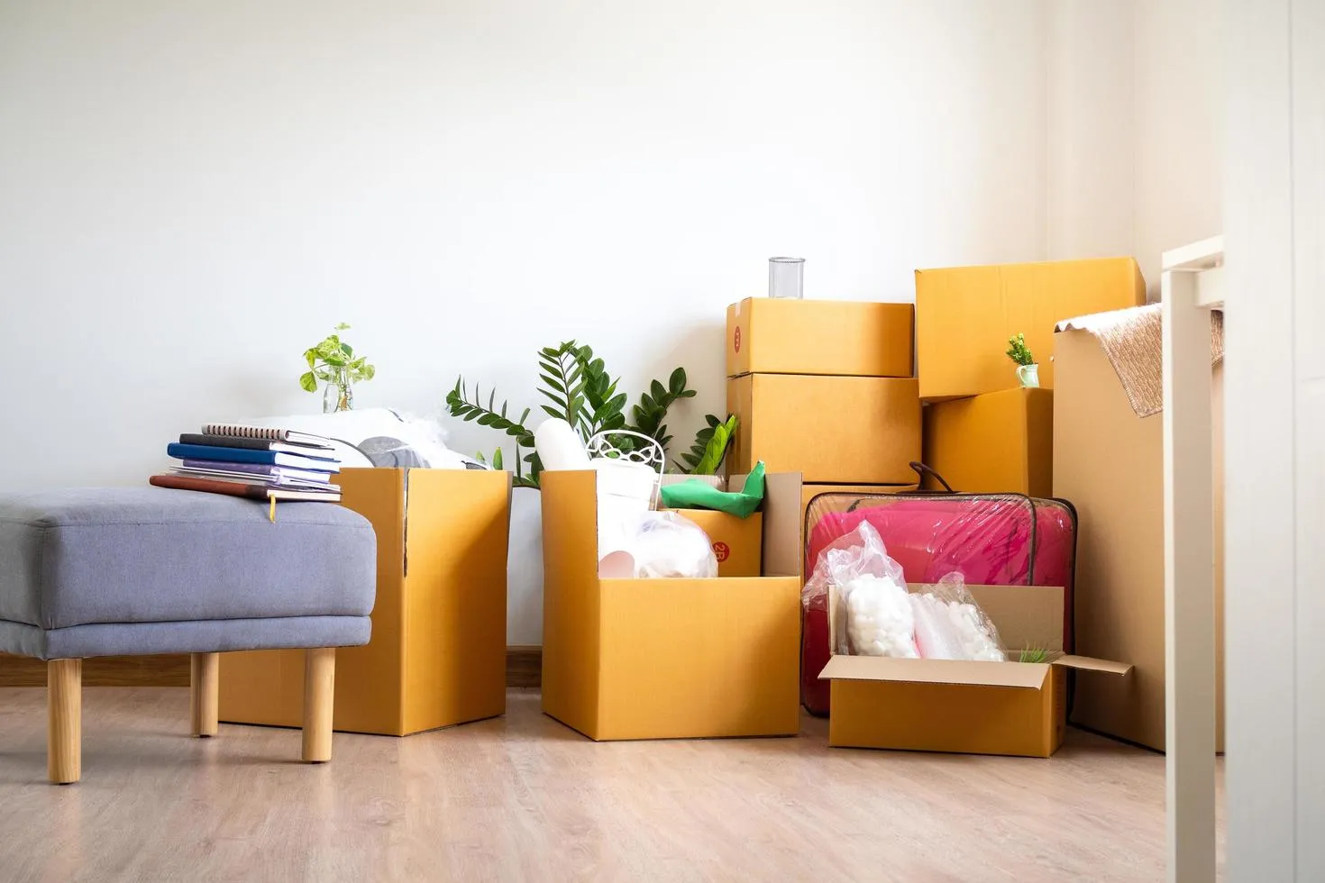 Stacks of moving boxes and houseplants fill a sunlit room, highlighting the transitional moments of homeownership and the need for flexible policies from an independent insurance agency in South Florida.