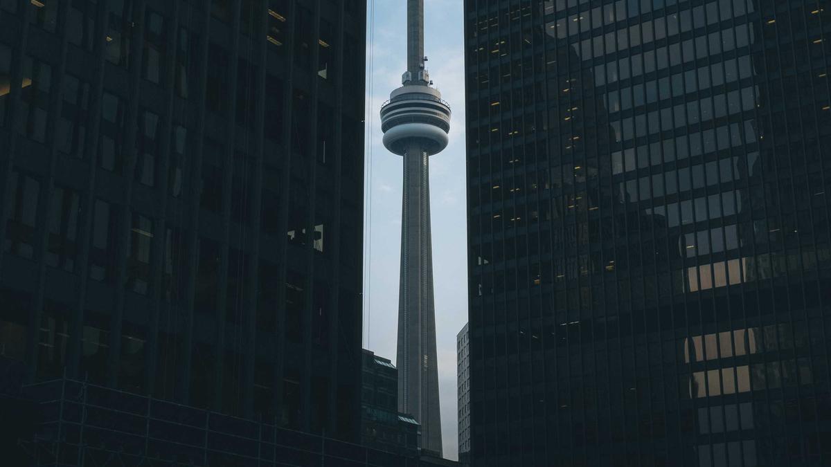 Brand identity design workspace